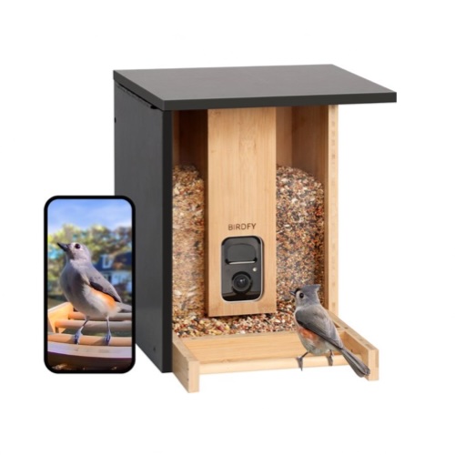 Birdfy  Feeder  Bamboo