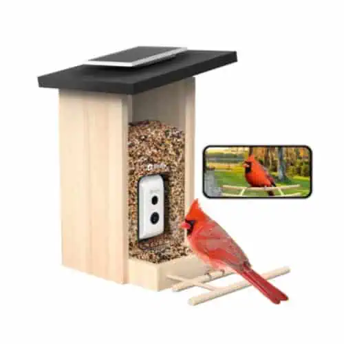 Birdfy  Feeder  Ebony