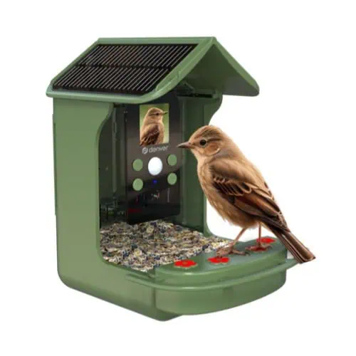 Denver Vogelhuisje met Camera