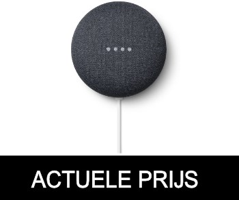 Google Nest Mini
