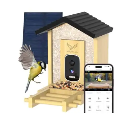 Voqella Vogelvoederhuisje